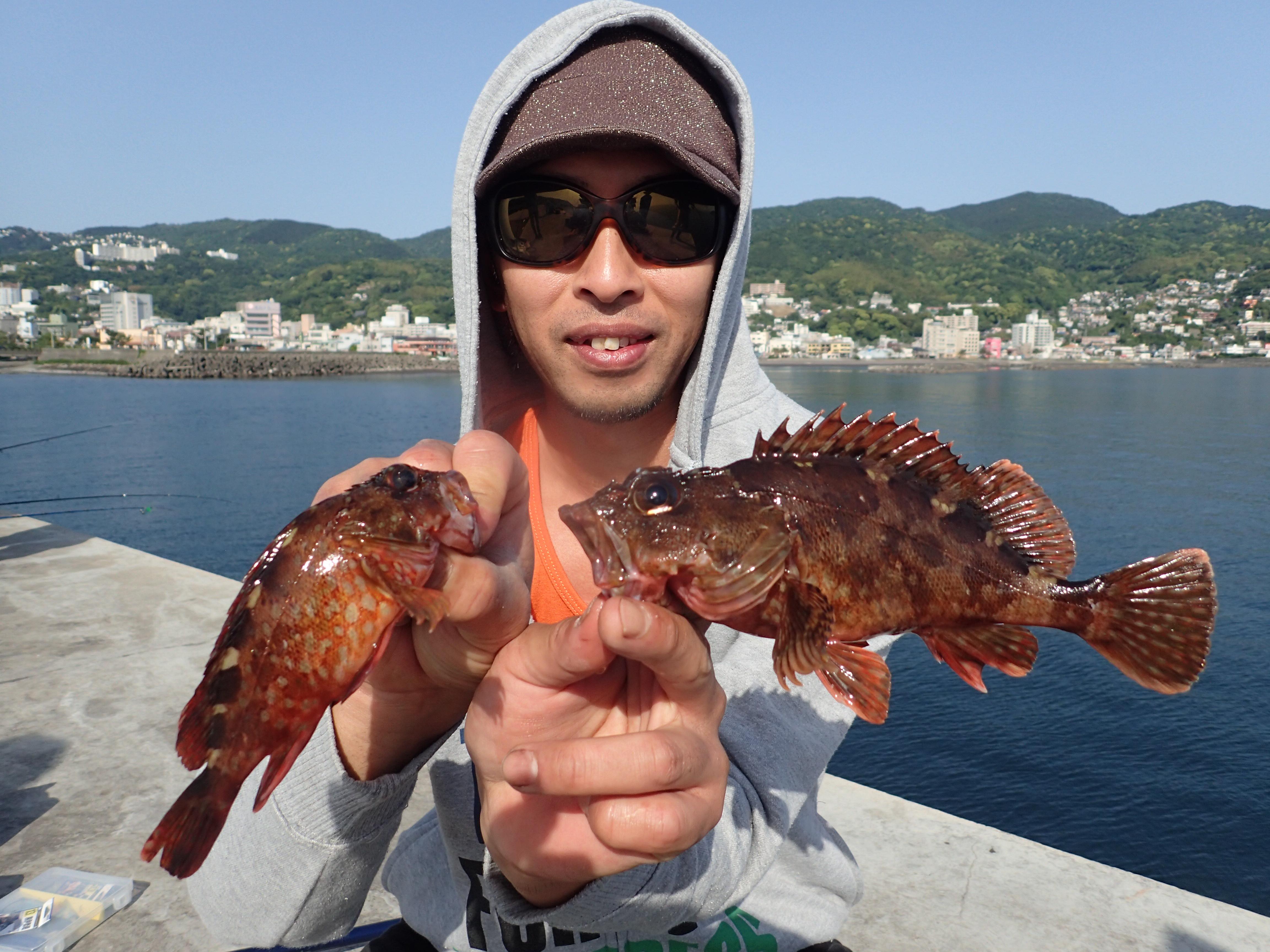 当店お客様三好様は穴釣りでカサゴ