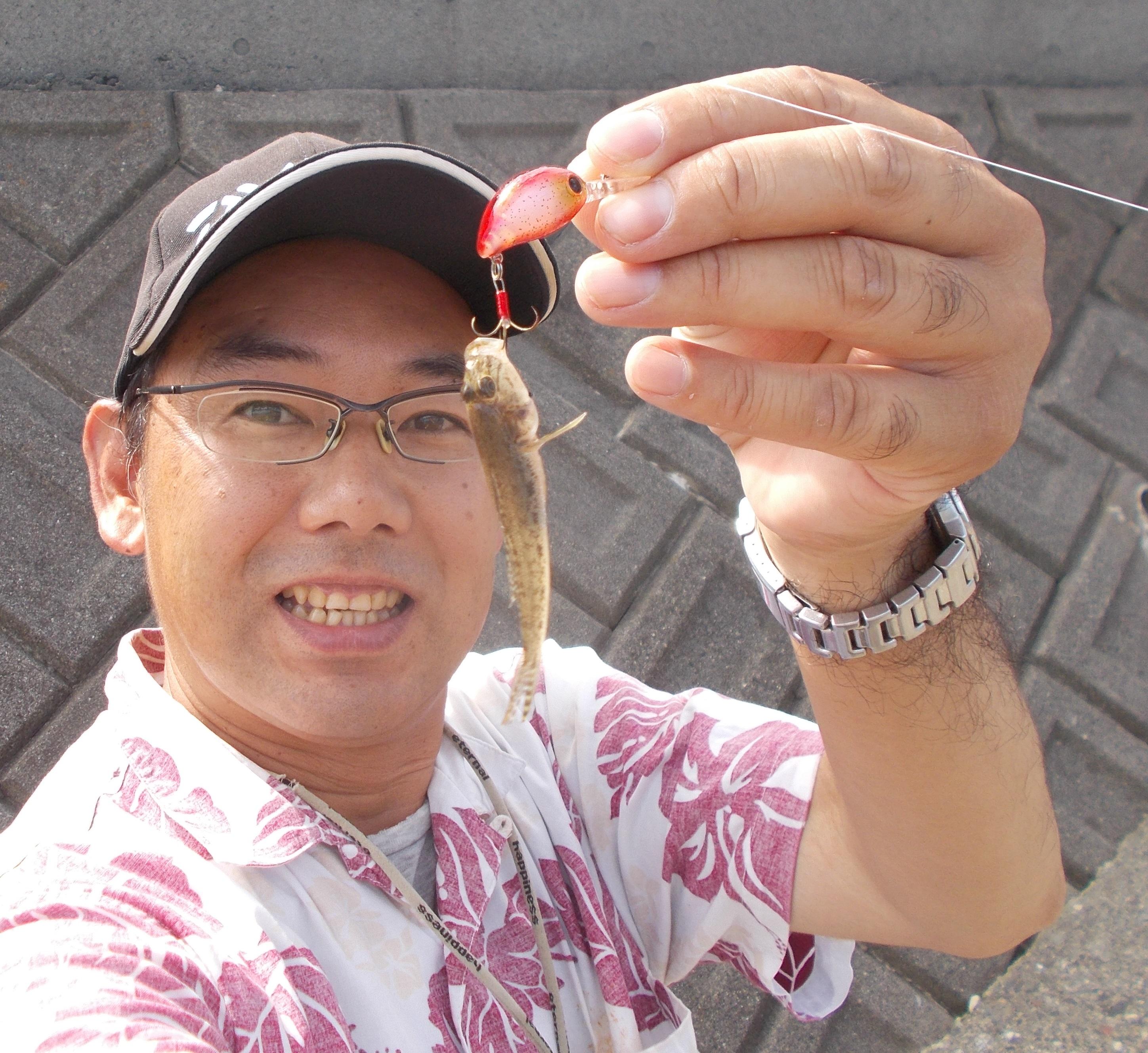 浅場での釣りなので後ろから追っかけてくるハゼが丸見え♪