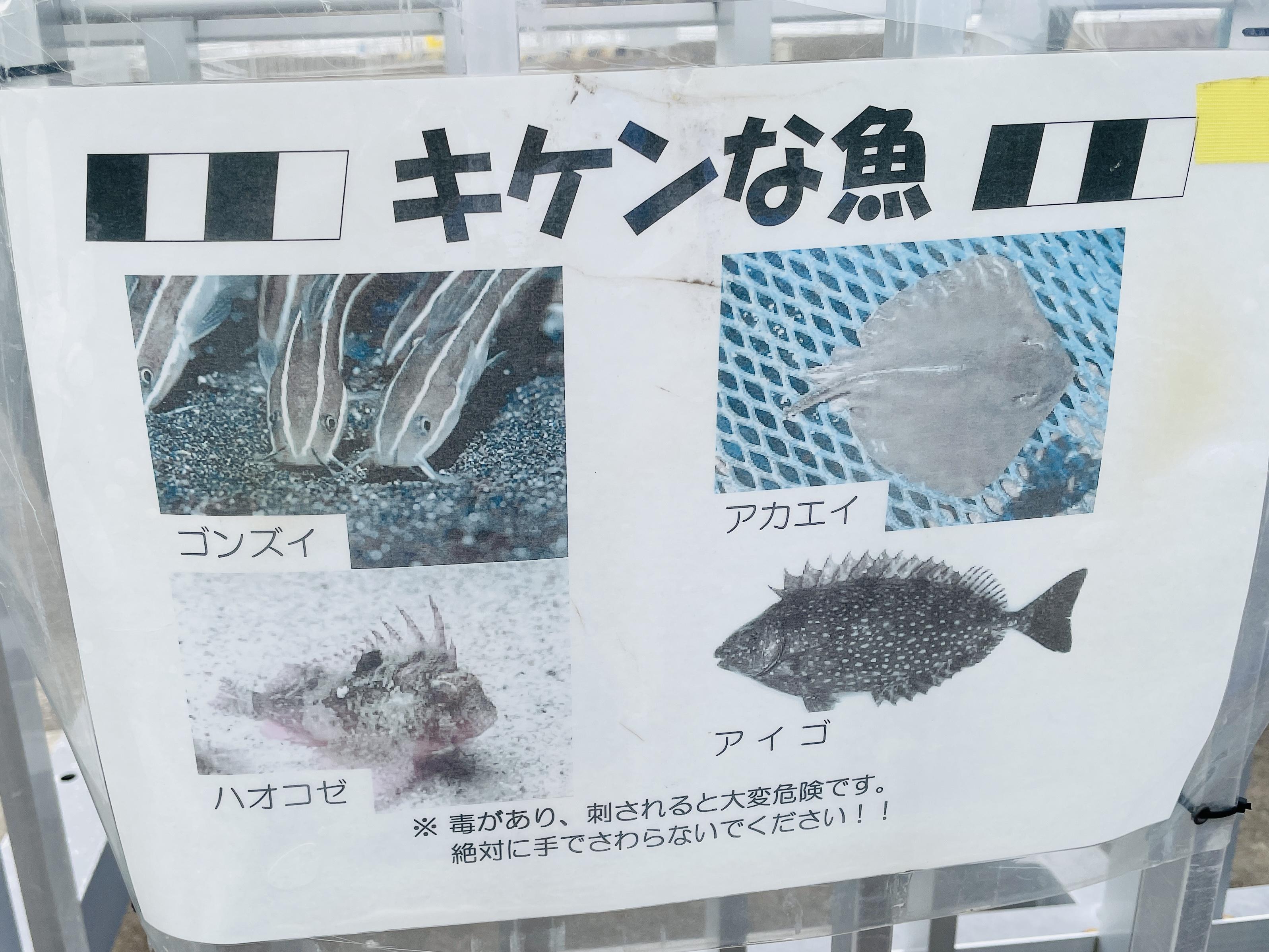 危険なお魚もいますので、
フィッシュグリップは必須！
素手で魚を触ると
臭いがついたり
上手く掴めないので、
毒がない魚でも
使用をオススメします！