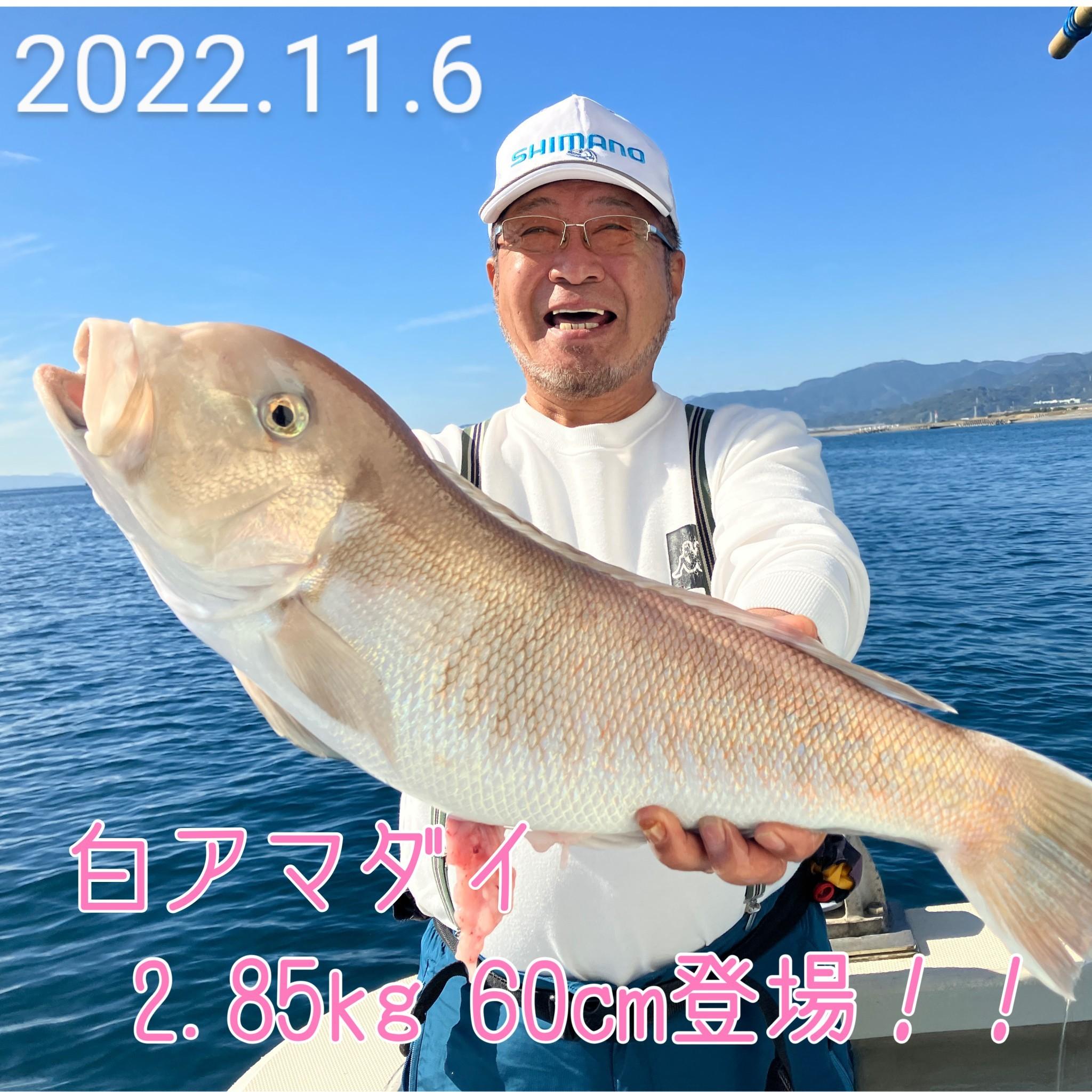 白アマダイ最高！｜釣具のイシグロ |釣り情報サイト