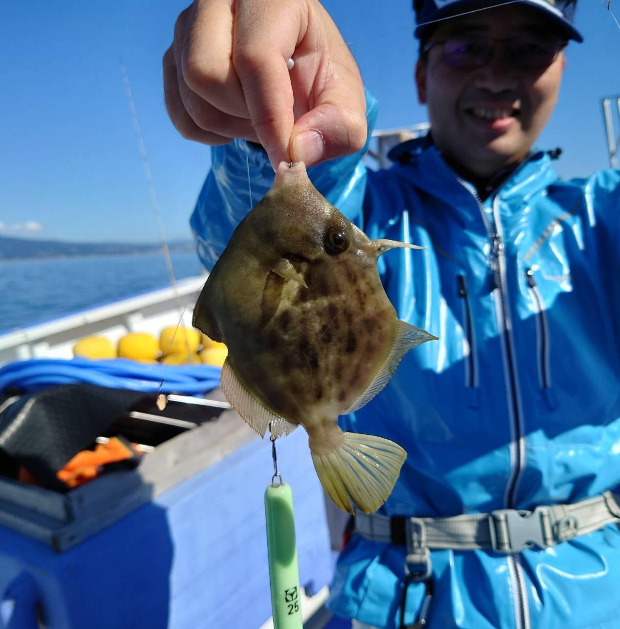 大型のカワハギが掛かることがあるので針の軸は強いものを選びましょう！