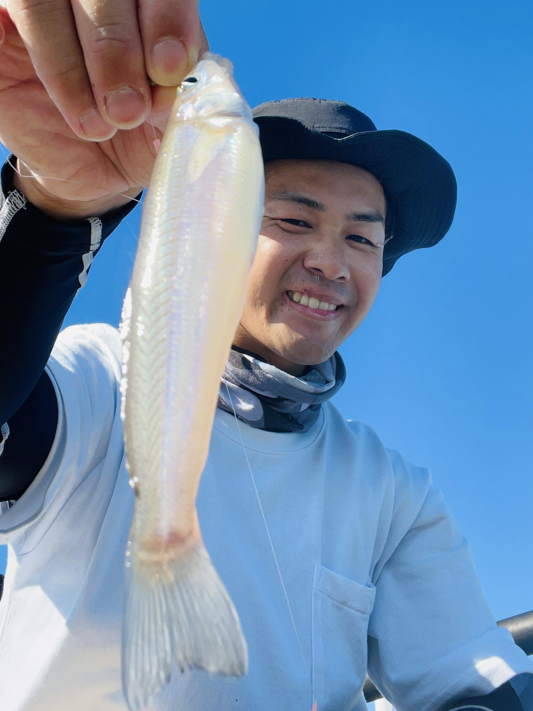 良型のシロギスも釣れています！
小型も混ざり始め、
数釣りができそうな予感が
だんだんとしてきました！