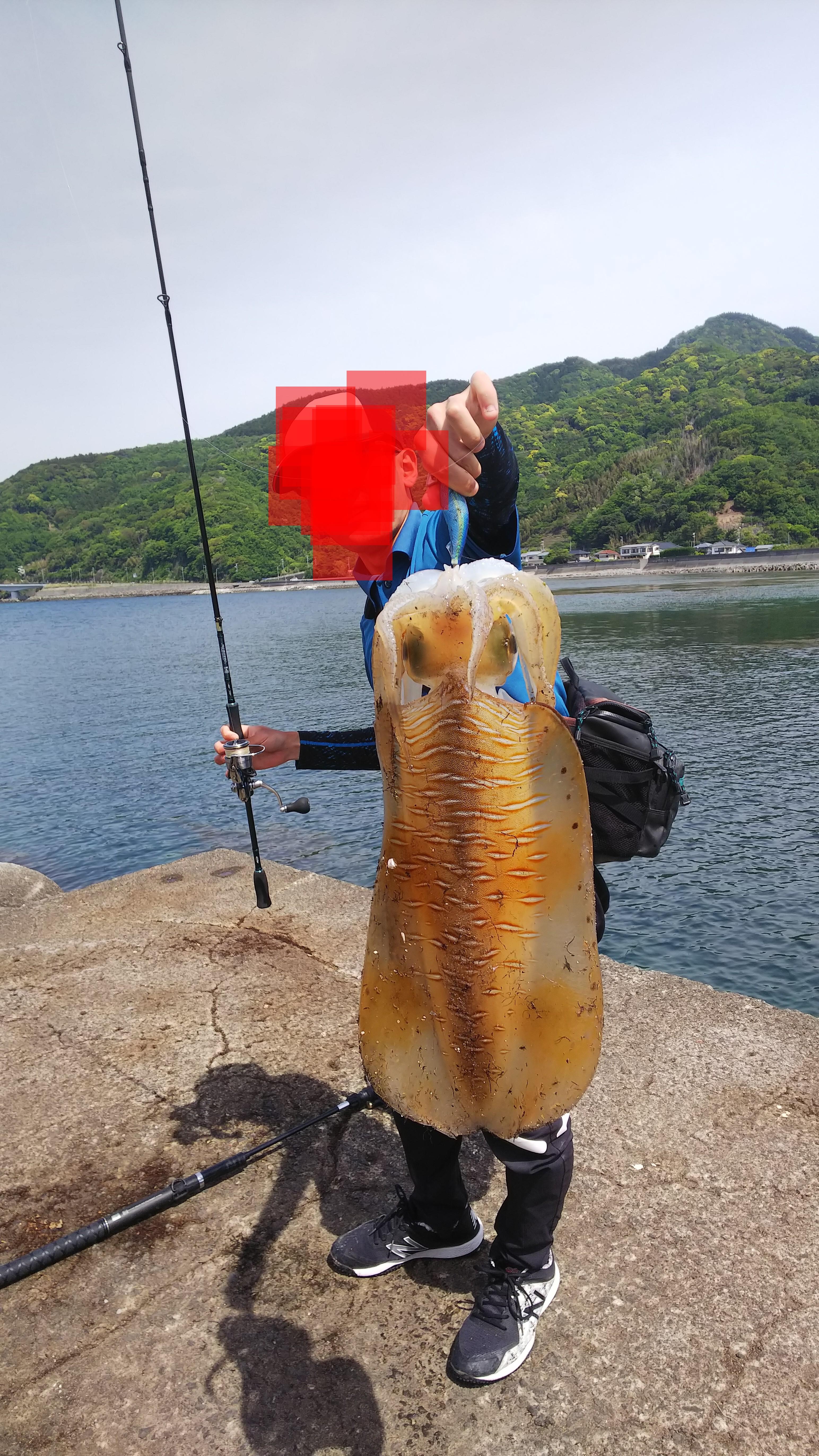 静岡へ帰省 西伊豆エギングでデカアオリ 釣具のイシグロ 釣り情報サイト