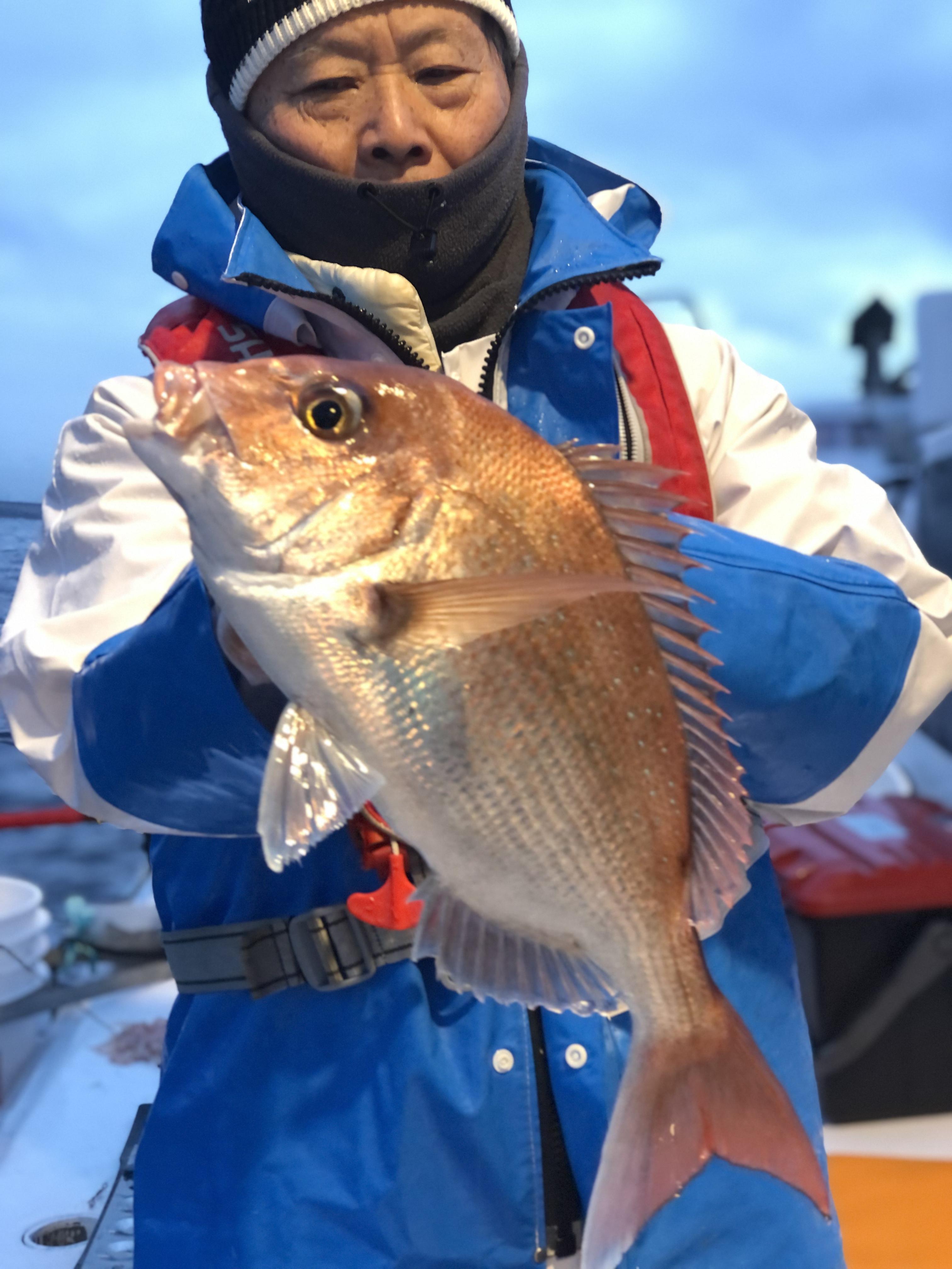 船縁バラしあり
4の3枚