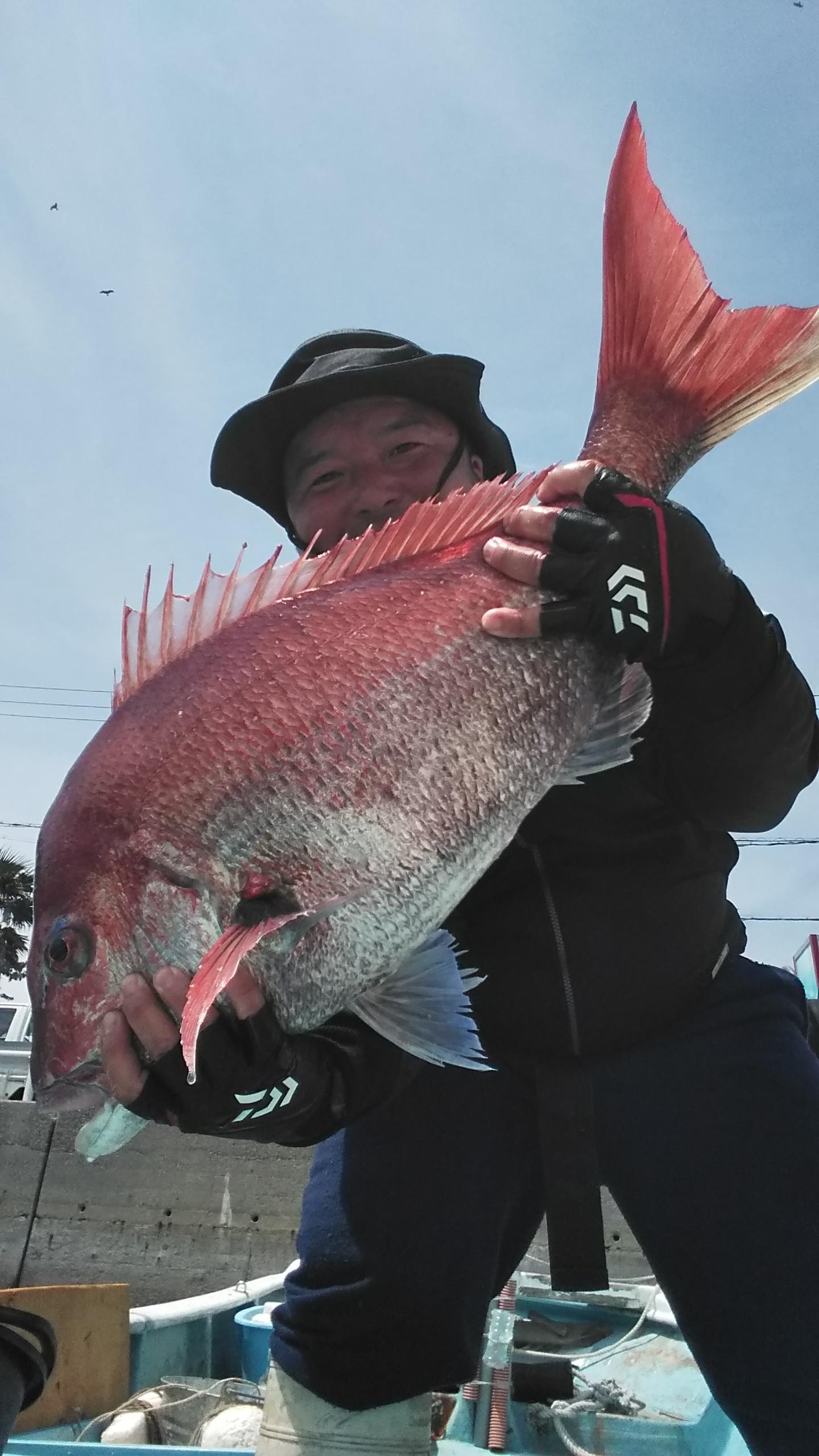 真鯛77.5センチ 6.7キロ！
自己新記録です！
スピニングタックルで釣りました！