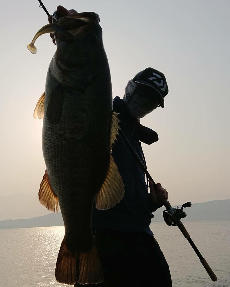 琵琶湖オカッパリ 釣れすぎ 本以上の釣果出ました 釣具のイシグロ 釣り情報サイト