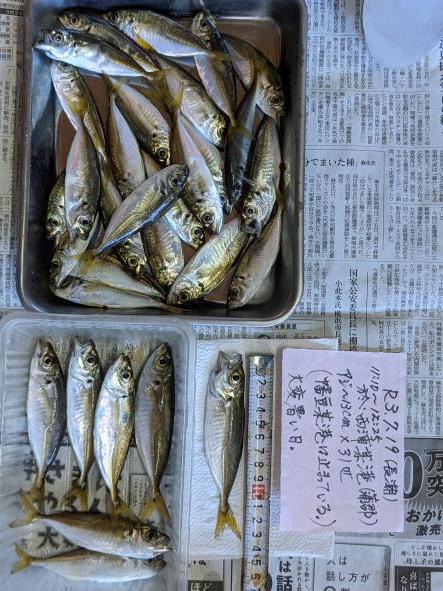 幡豆某港は止まってしまっていたため、西浦へ。
