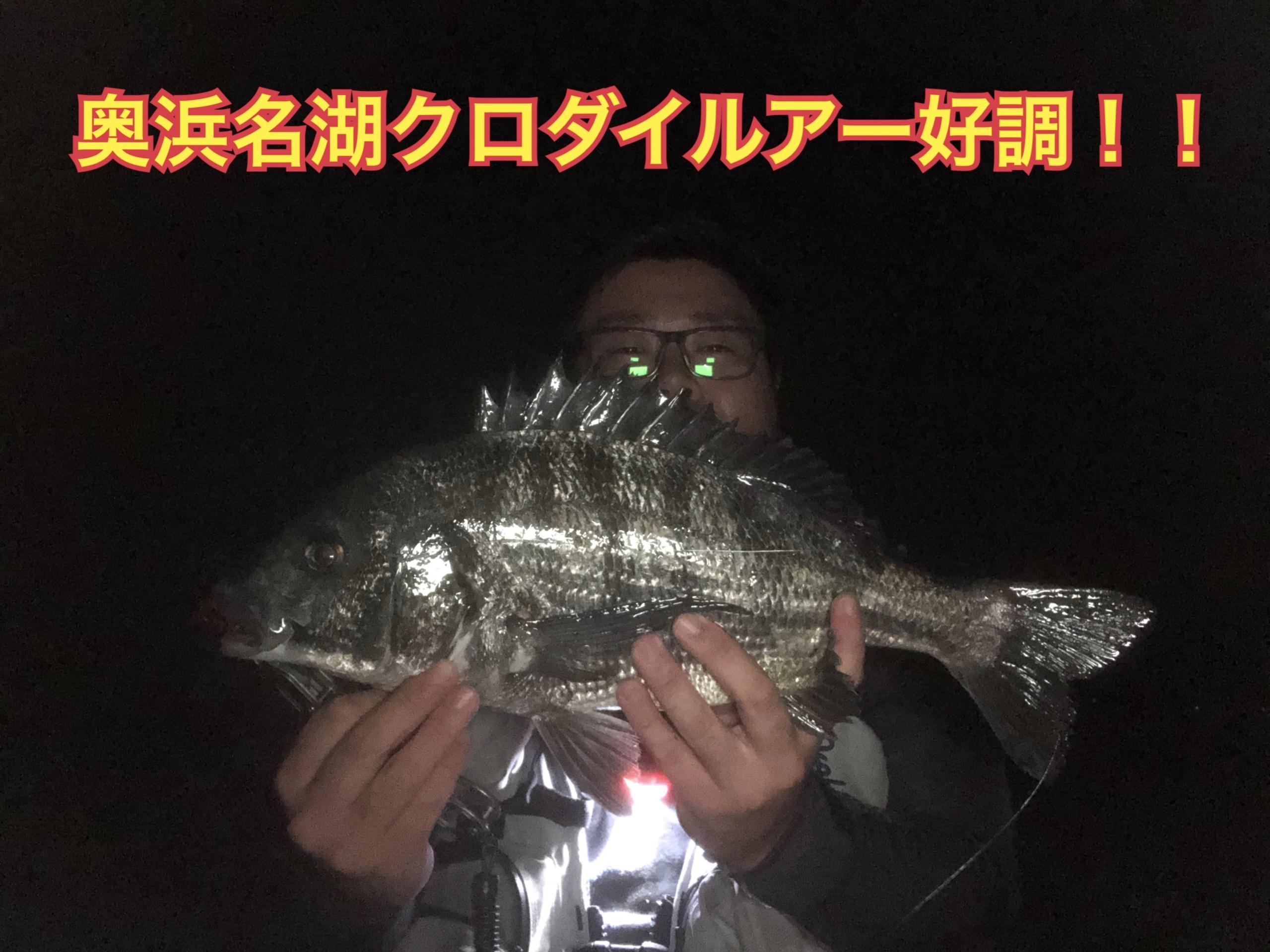 奥浜名湖クロダイルアー連日好調 釣具のイシグロ 釣り情報サイト