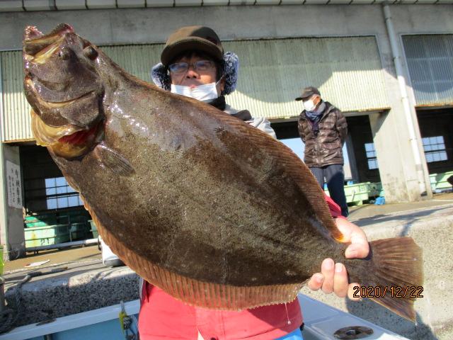 こちらの新規のお客様は『活き鰯ヒラメ釣り』初挑戦で肉厚ななはんOver寒ビラメを釣り上げましたッ(^-^)