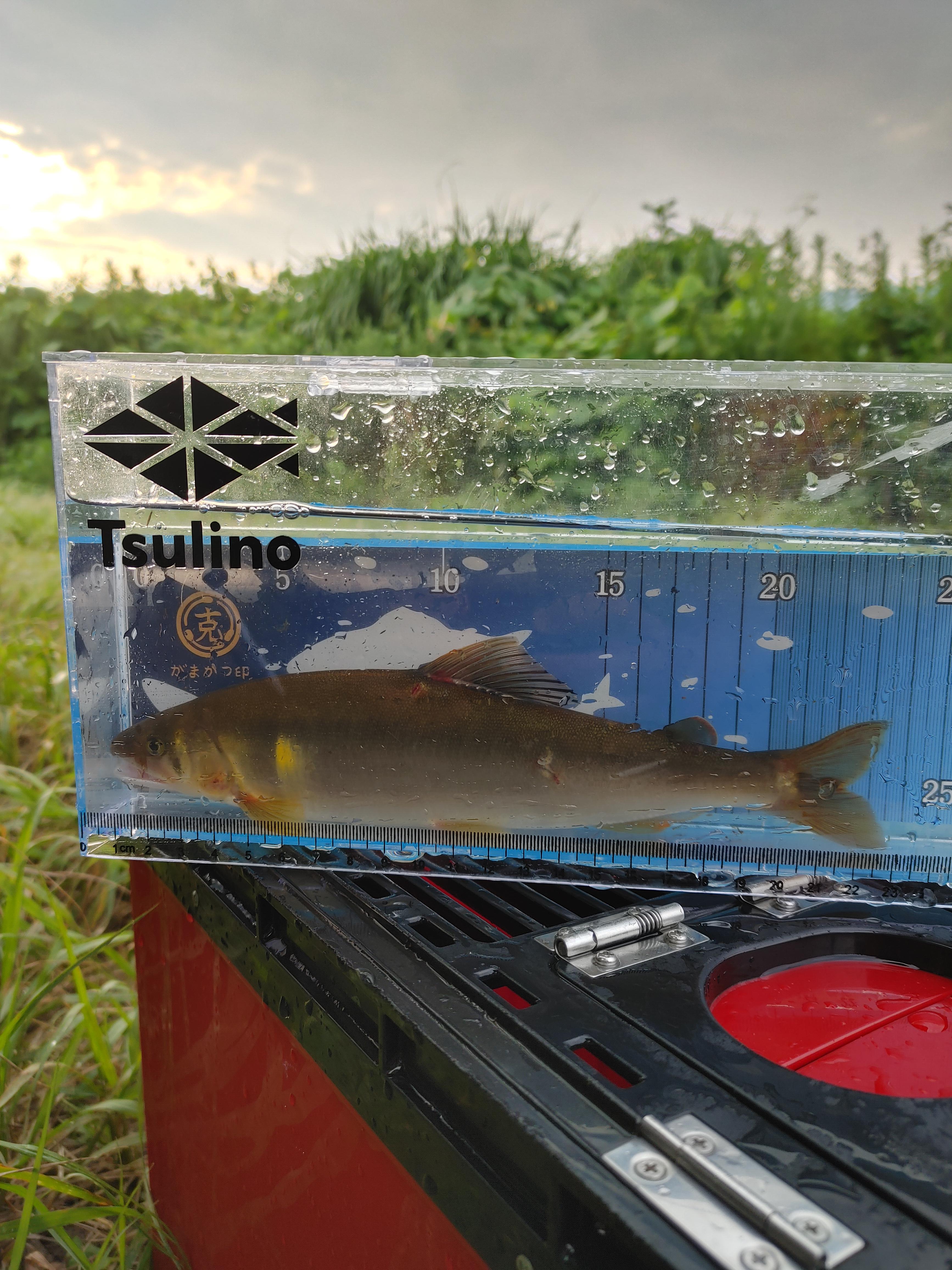 大きくて太いのが釣れるとテンションがあがります(^_^)v