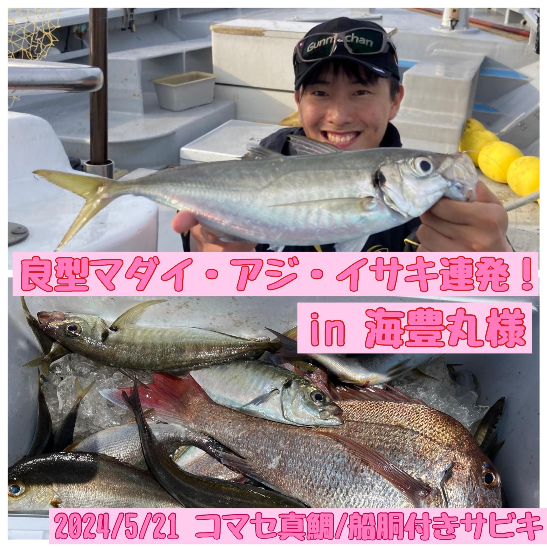 人生初コマセマダイ・船胴付きサビキ釣り！座席にも恵まれかなり好調でした！