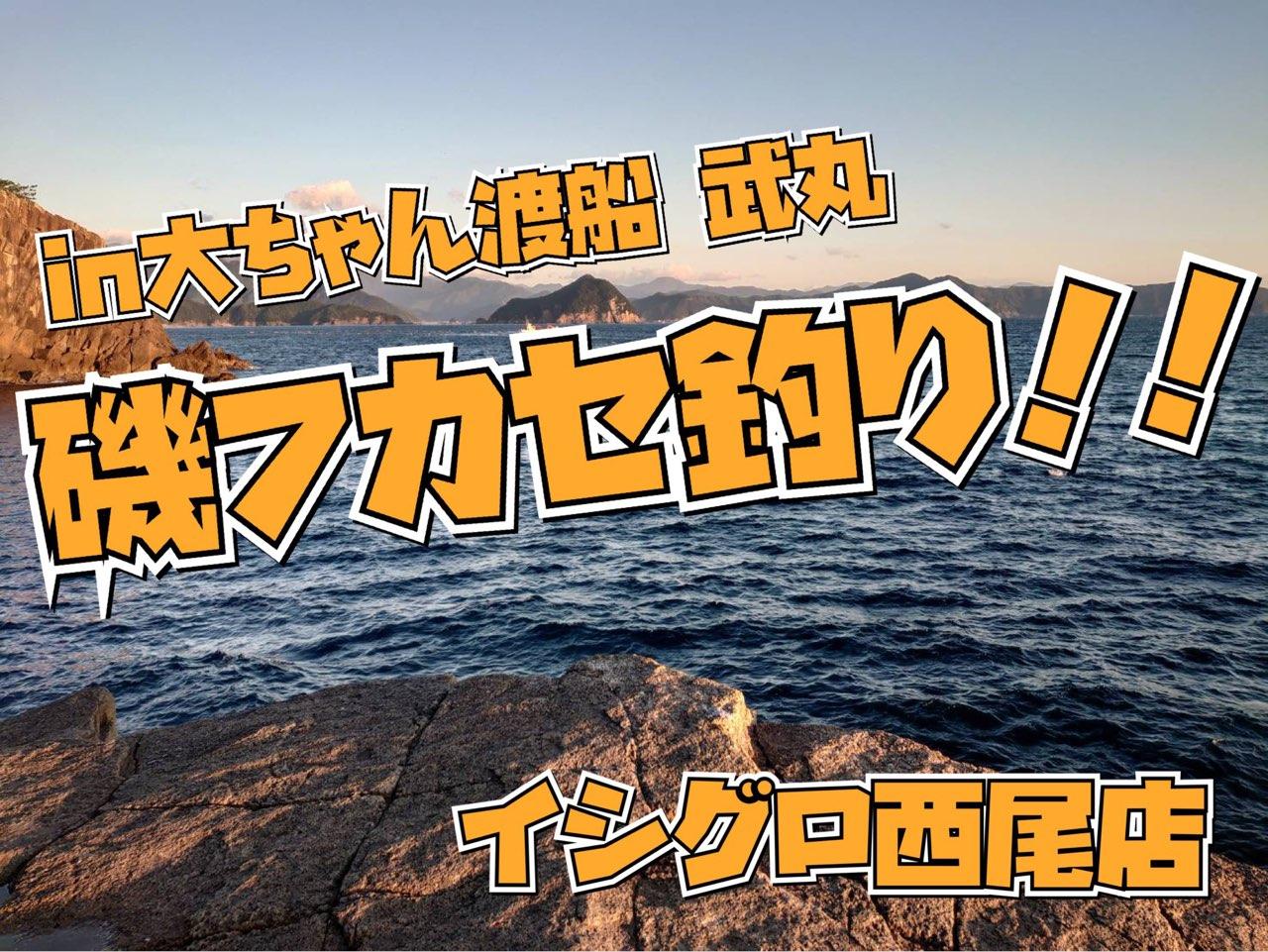 磯釣り好調 磯フカセでメジナつれてます イシグロ西尾店 釣具のイシグロ 釣り情報サイト