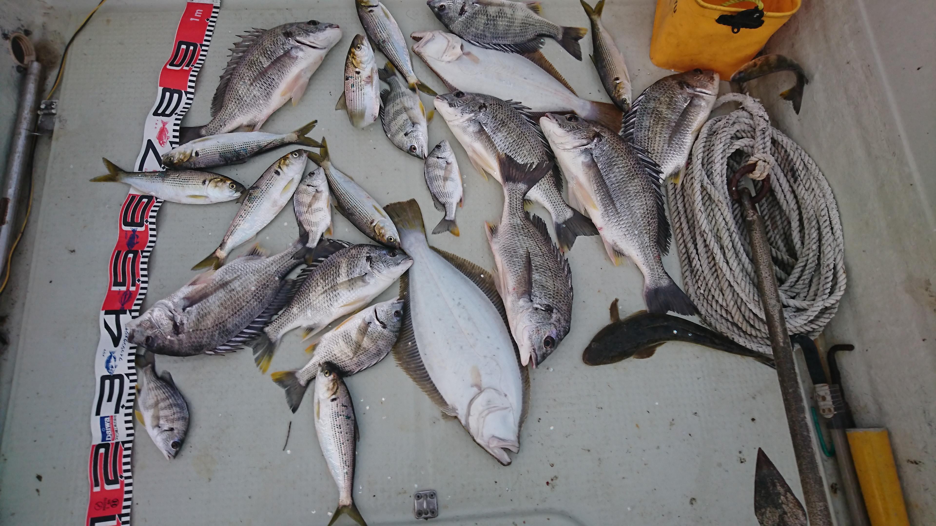 只今 浜名湖はマゴチ ヒラメ爆釣中 釣具のイシグロ 釣り情報サイト