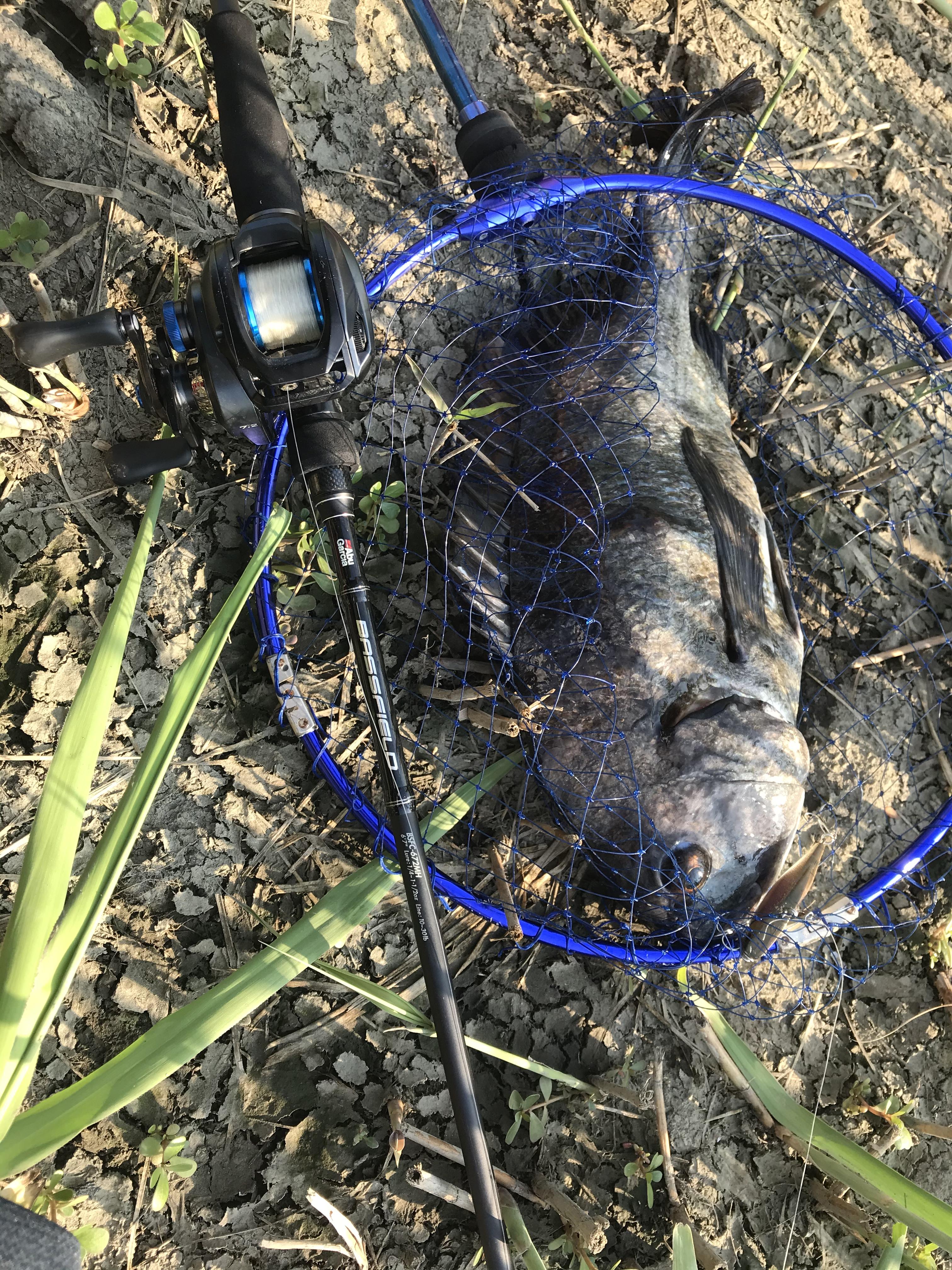 Tnトリゴンでまさかの魚 釣具のイシグロ 釣り情報サイト