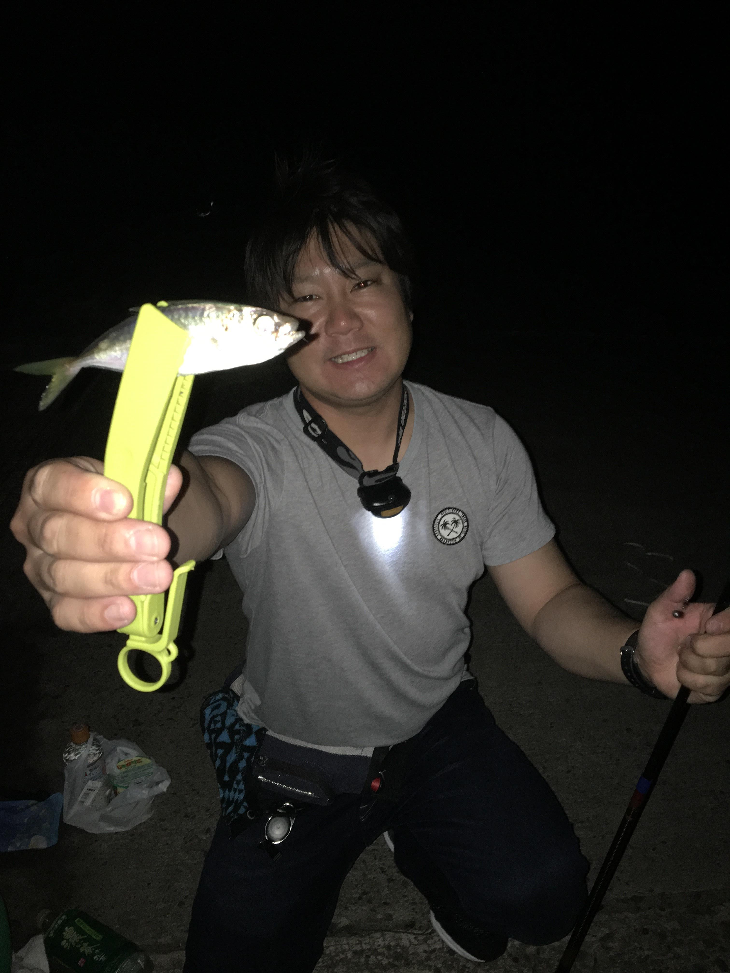浜名湖夜のアジ釣りが快適で楽しい 釣具のイシグロ 釣り情報サイト