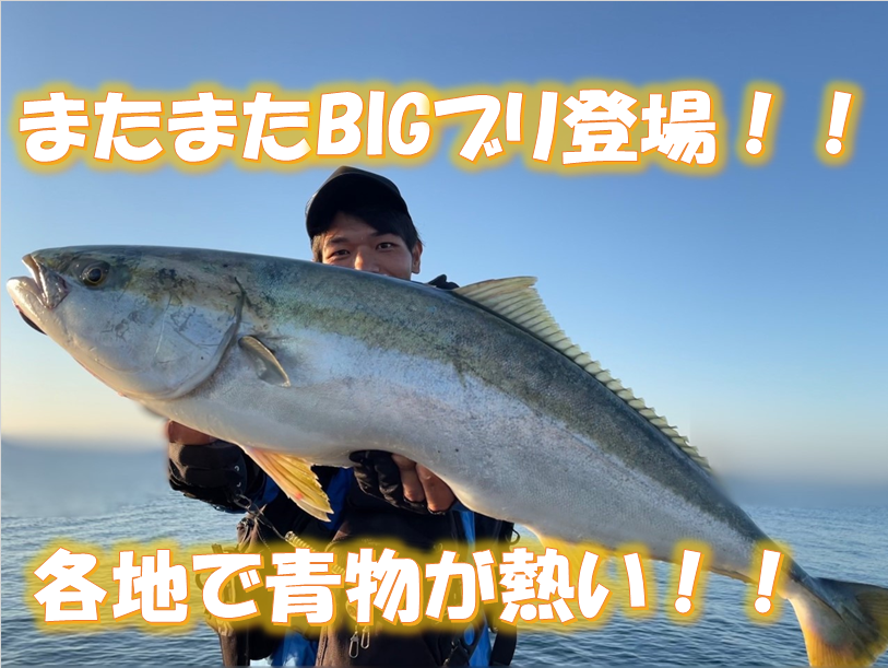 https://www.ishiguro-gr.com/fishing/files/sJr1Q8f0tL6duVor.png