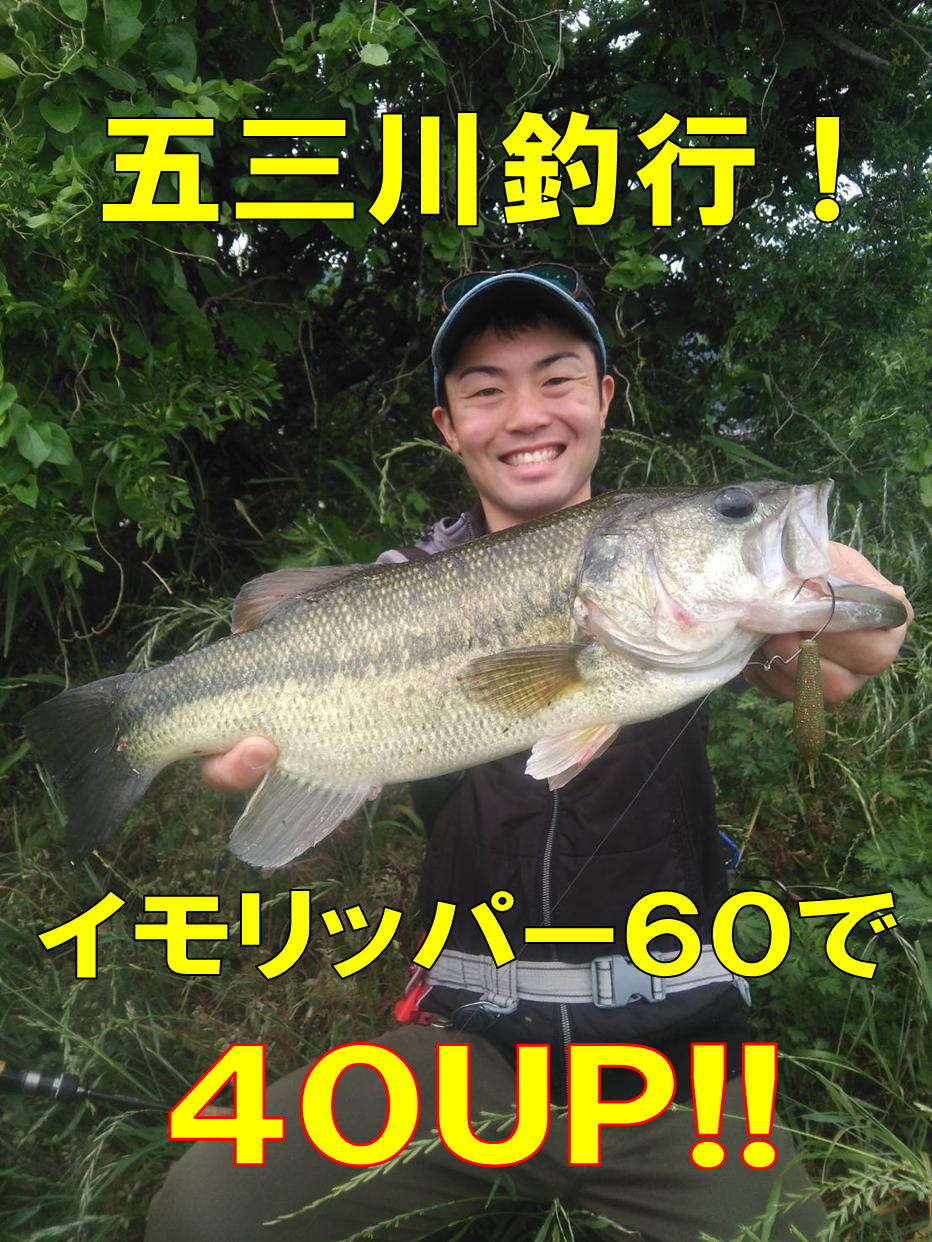 鳴海店 五三川 イモリッパー60釣れてます 釣具のイシグロ 釣り情報サイト