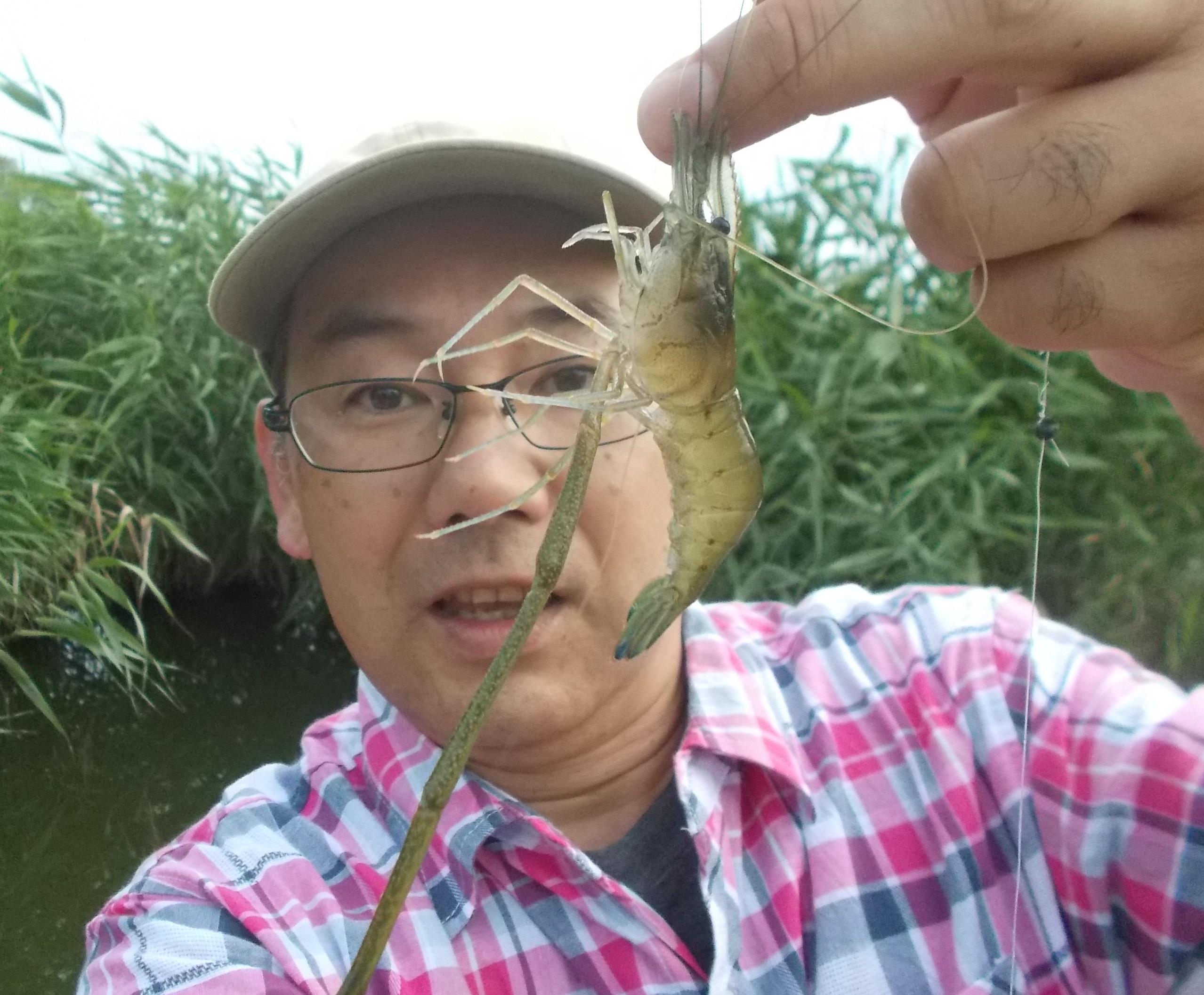 夕食前の短時間エビ釣りに、昼間と違い涼しい風が吹いていて快適にエビ釣りを楽しみました♪