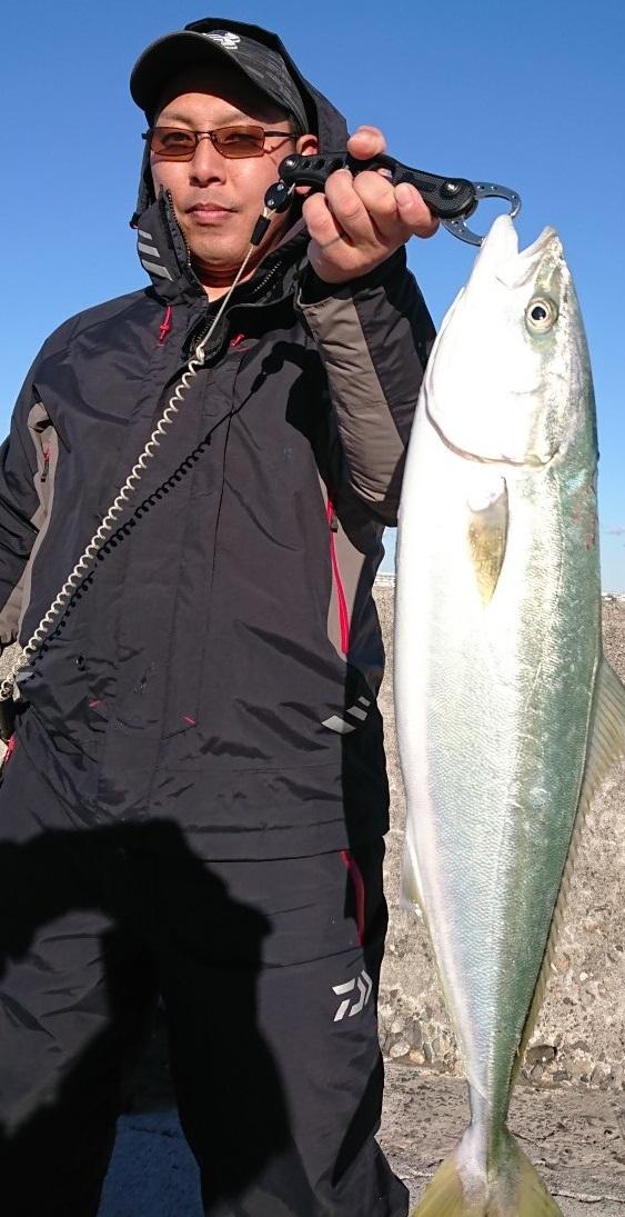 浜名湖内でも青物釣れてます 釣具のイシグロ 釣り情報サイト