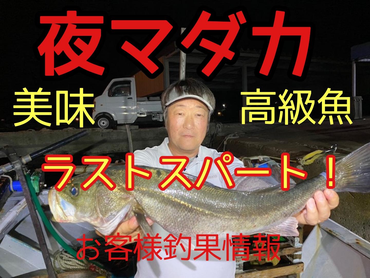 人気の伊勢湾夜釣り 大型サイズ続々 マダイまでっ いよいよラストスパートの夜マダカ釣り お客様釣果情報 イシグロ半田店 釣具のイシグロ 釣り情報サイト