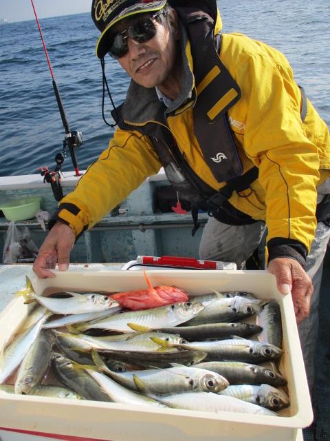 こちらの常連様は初冬デカマアジを釣り過ぎてお裾分けくださいましたッ(о´∀`о)