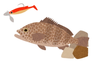 ロックフィッシュ オオモンハタ