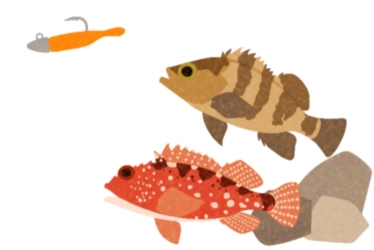 ロックフィッシュ