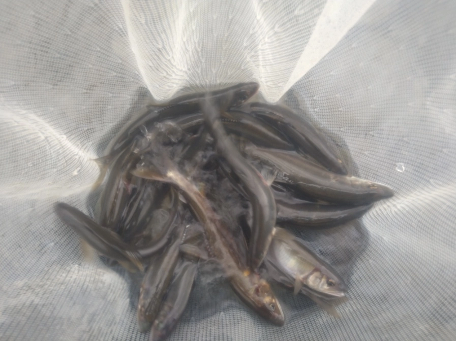 シーズン後半、まだまだ楽しめます!