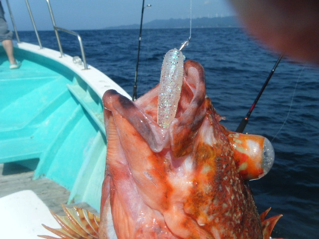 f:id:ishiguroito:20170722204431j:plain f:id:ishiguroito:20170722204431j:plain